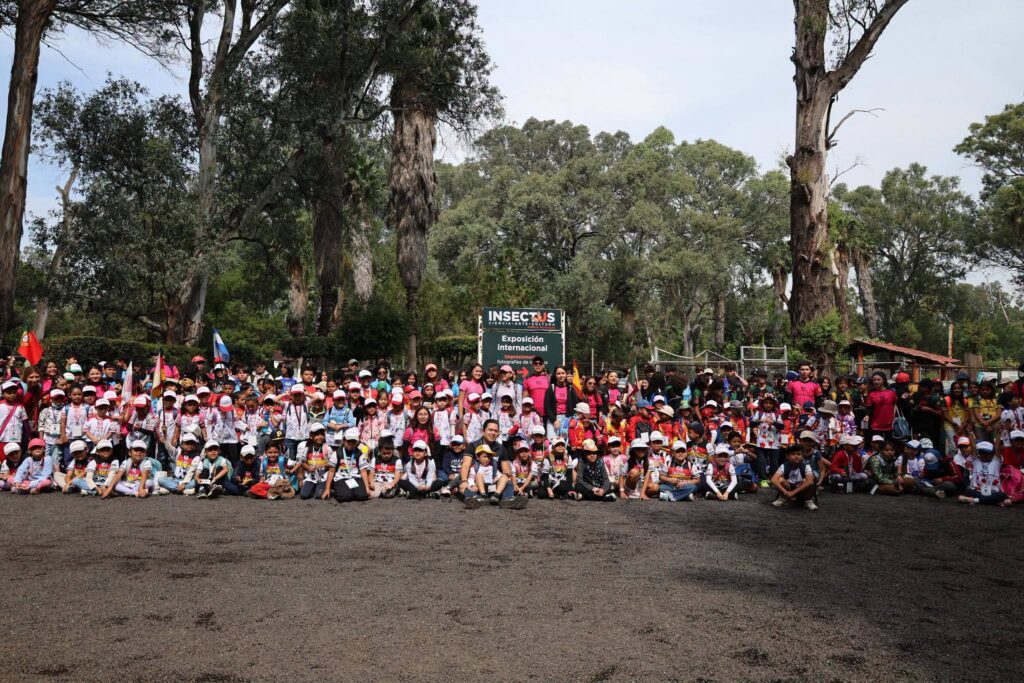 Con éxito concluyó el curso “Verano de Campeon@s” de Imcufide